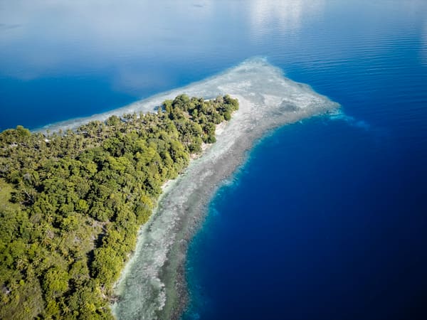 Reconnect island moment
