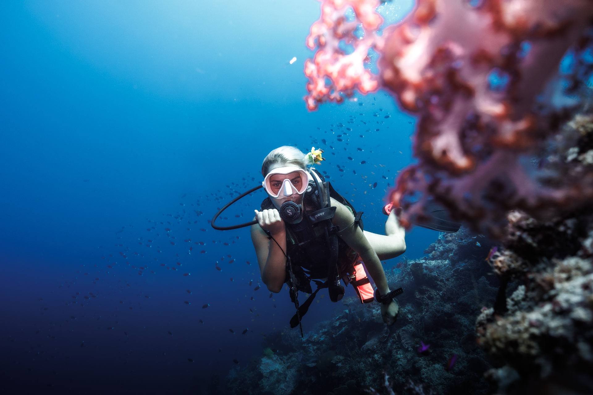 Scuba diving in pristine coral reefs